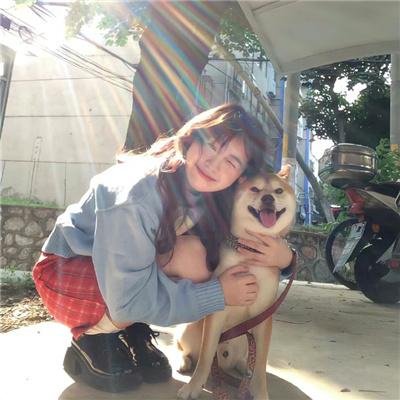 园丁之犬