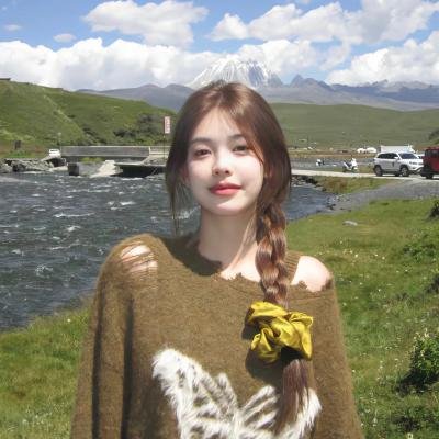 企鹅之岛：福克兰